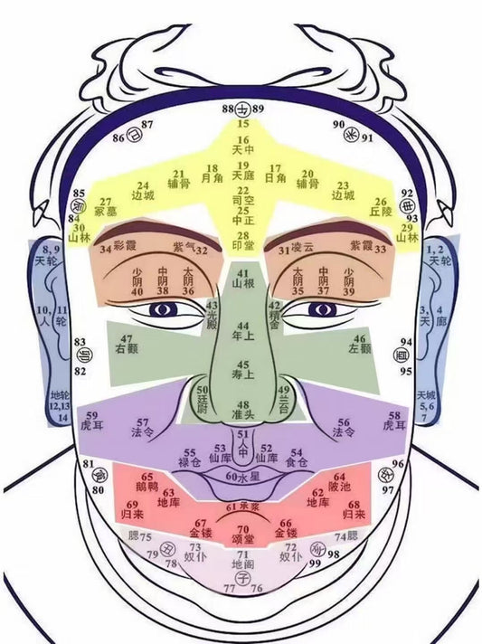 Exploring Daoist Traditional Medicine: Ancient Wisdom for Holistic Healing